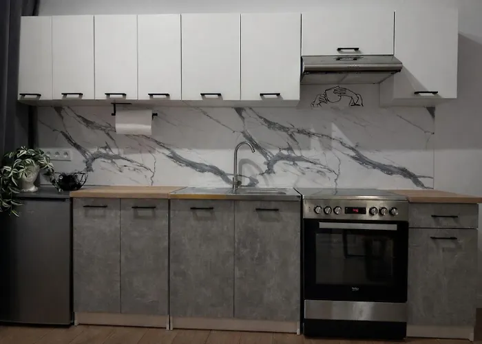 Cozy Fireplace Two Bedrooms Workspace 里加